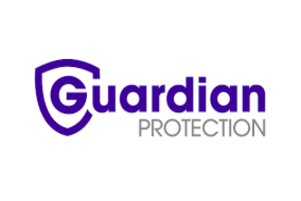 VIP & Personal Security